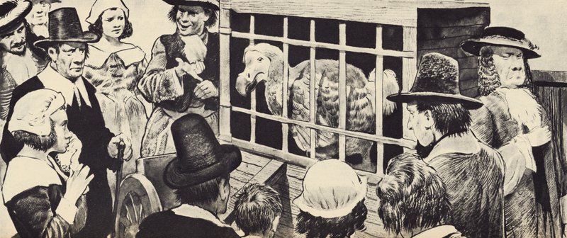 Een dodo tentoongesteld in het zeventiende-eeuwse Engeland door English School