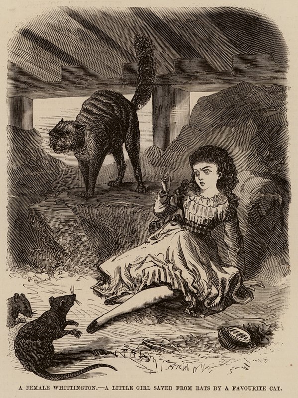 Een vrouwelijke Whittington, een klein meisje gered van ratten door een favoriete kat door English School