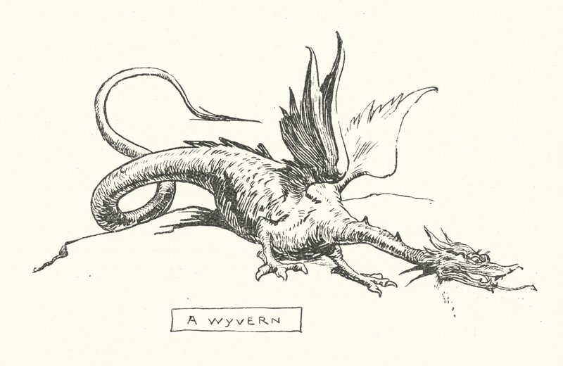 Een wyvern door English School