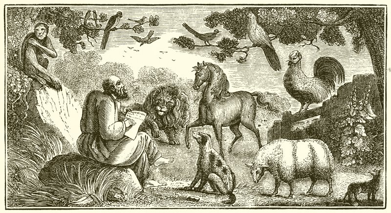 Aesopus schrijft zijn Fabels door English School