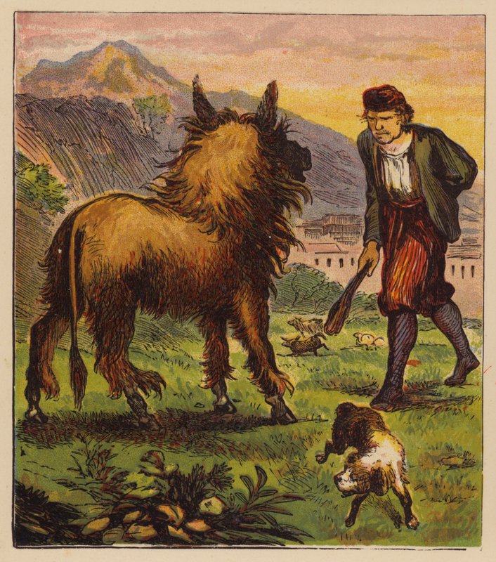 Aesopus