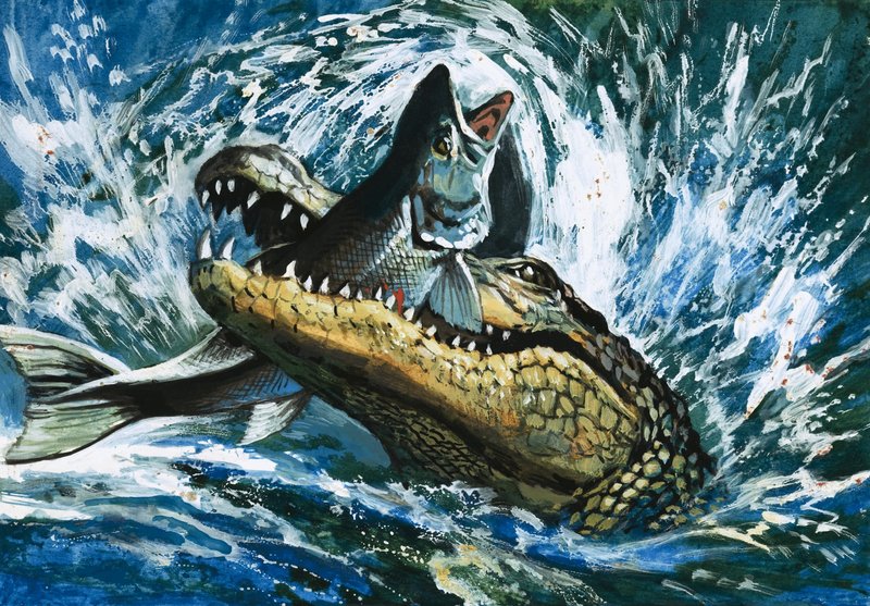 Alligator eet vis door English School
