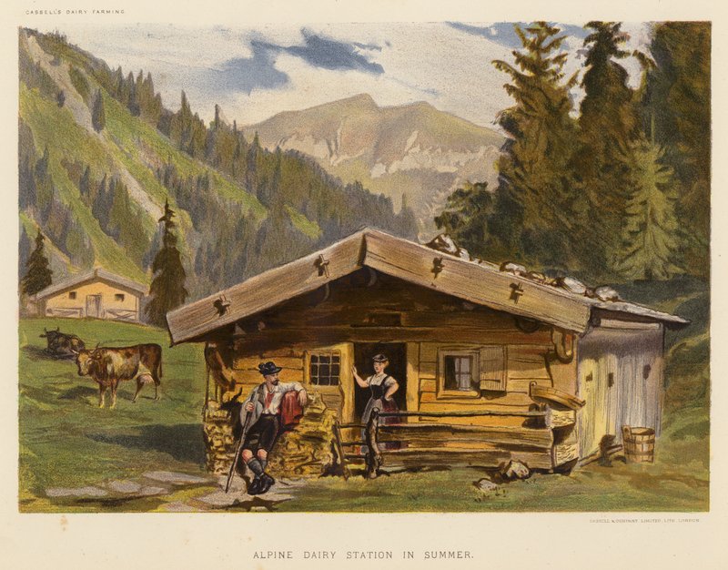 Alpen Zuivelstation in de Zomer door English School