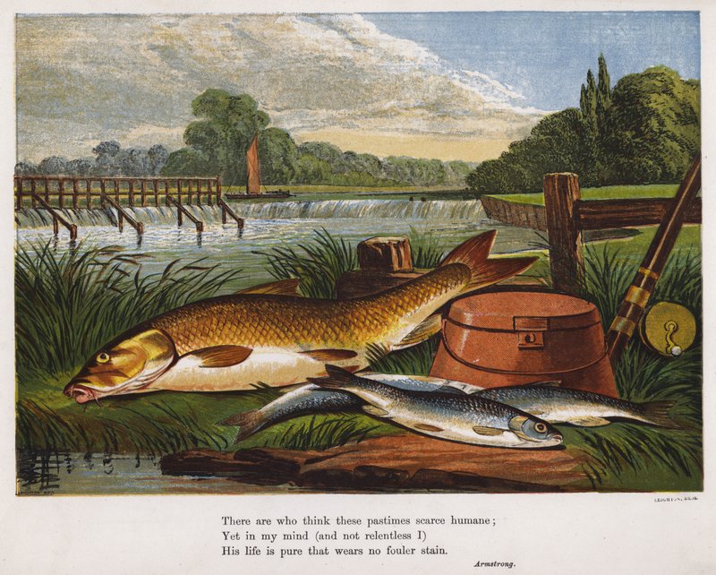 Vangst van een visser aan de oever van een rivier door English School