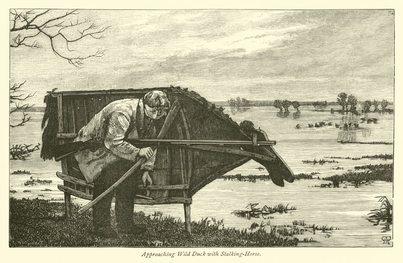 Naderende Wilde Eend met Stalkpaard door English School