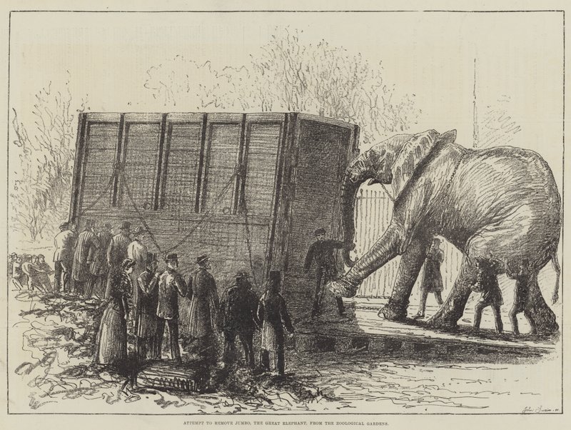 Poging om Jumbo, de grote olifant, uit de dierentuin te verwijderen door English School