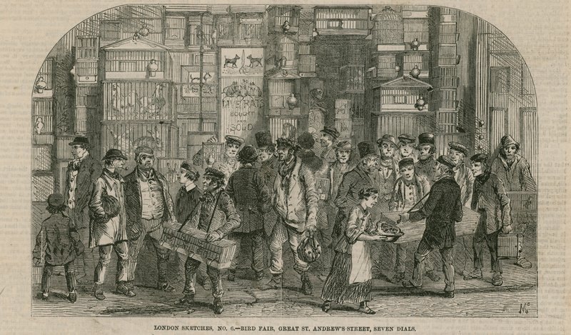 Vogelmarkt, Great St Andrews Street, Seven Dials, Londen door English School