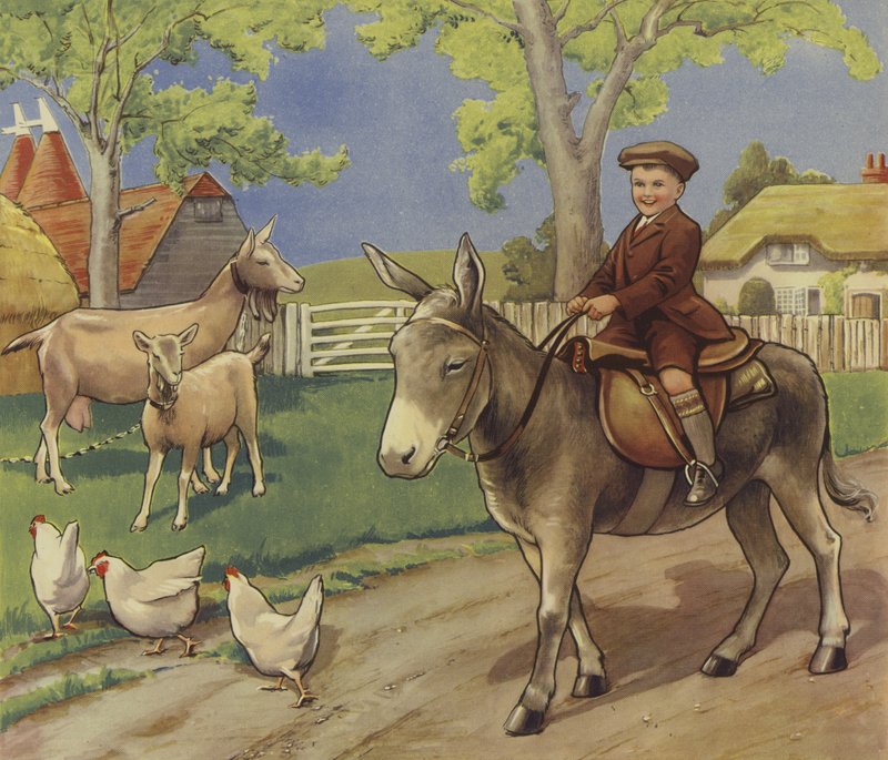 Jongen die op een ezel rijdt in het Engelse platteland door English School
