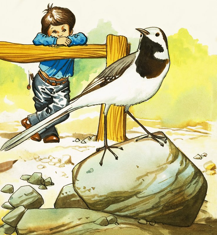 Jongen kijkt naar een onbekende vogel door English School