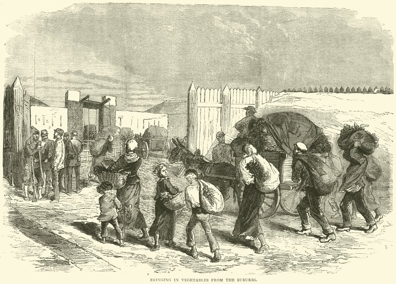 Groenten uit de buitenwijken binnenhalen, oktober 1870 door English School