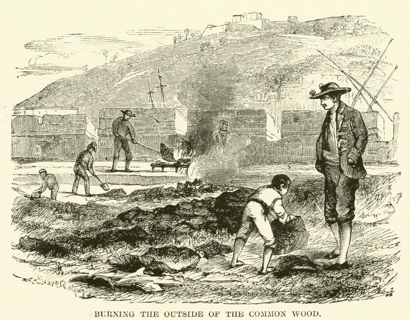 Het buitenste van het gewone hout verbranden (gravure) door English School