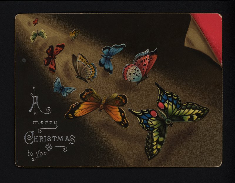 Vlinders, kerstgroetenkaart, eind 19e of begin 20e eeuw door English School