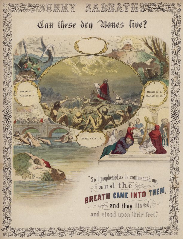 Kunnen deze droge beenderen leven? (gekleurde gravure) door English School