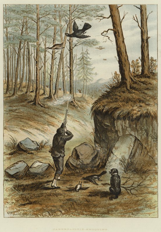 Capercailzie-jacht (chromolitho) door English School