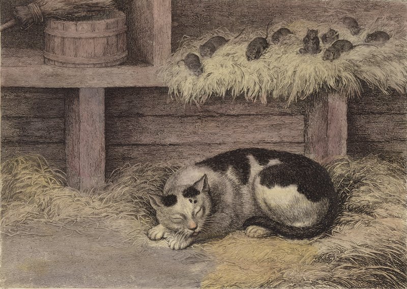 Kat en muizen in een schuur (getinte gravure) door English School