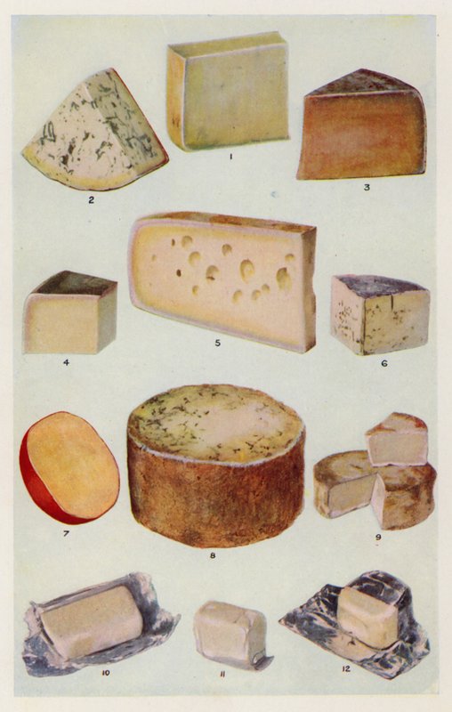 Cheddar; Gorgonzola; Double Gloster; Parmezaan; Gruyere; Roquefort; Nederlands; Stilton; Camembert; St Ives; Room door English School