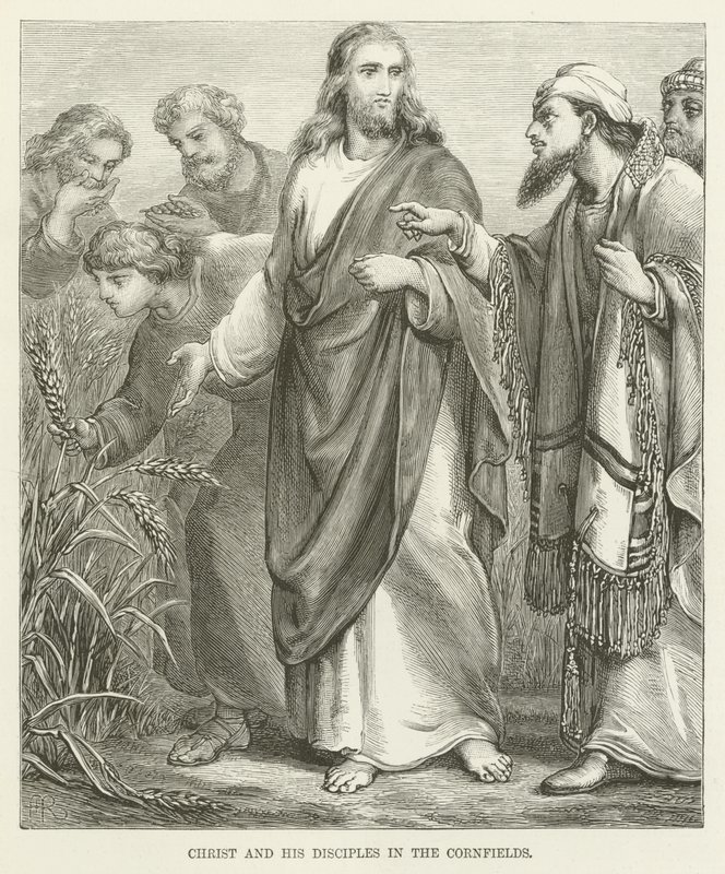 Christus en zijn discipelen in de korenvelden door English School