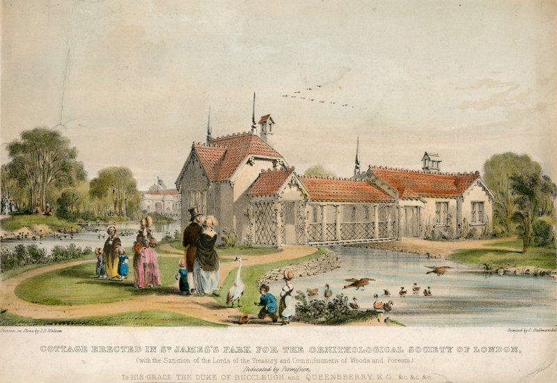 Cottage opgericht in St Jamess Park voor de Ornithologische Vereniging van Londen door English School