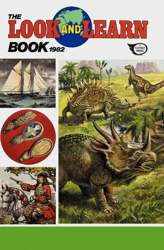 Omslag van Look and Learn Book 1982 door English School