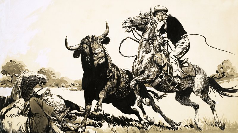 Cowboys in de Australische outback proberen een stier te vangen door English School