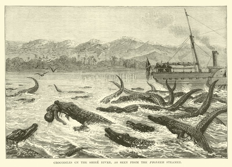 Krokodillen in de Shire-rivier, gezien vanaf de Pioneer-stoomboot door English School