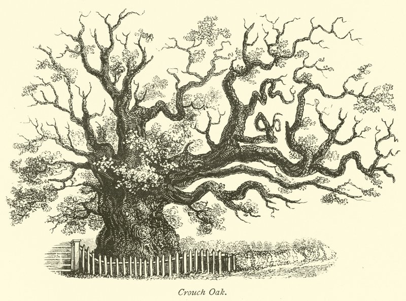 Crouch Eik door English School