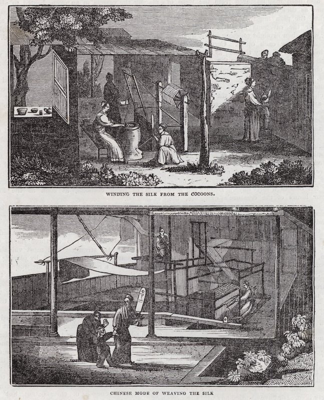 Zijdecultivatie (gravure) door English School