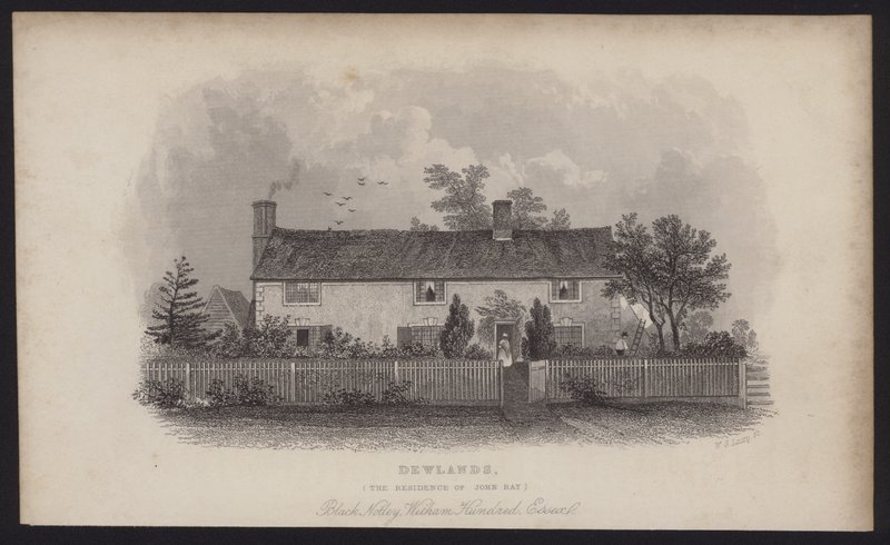 Dewlands, het huis van John Ray, Black Notley, Witham Hundred, Essex (gravure) door English School