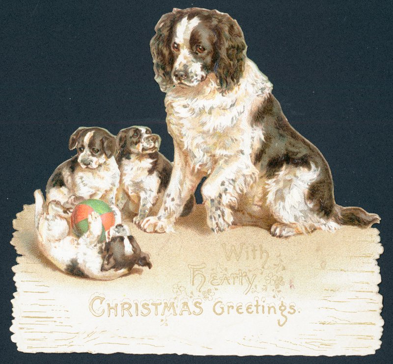 Hond en puppy