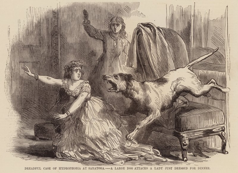 Vreselijk geval van watervrees in Saratoga, een grote hond valt een dame aan die net gekleed is voor het diner door English School