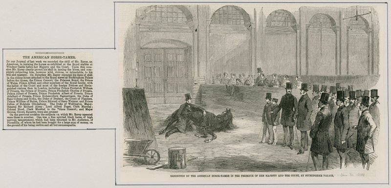 Tentoonstelling door de Amerikaanse paardentemmer in aanwezigheid van Hare Majesteit en het Hof, in Buckingham Palace door English School