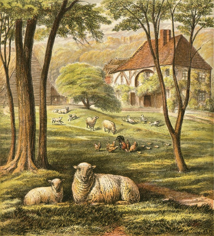 Boerderij door English School