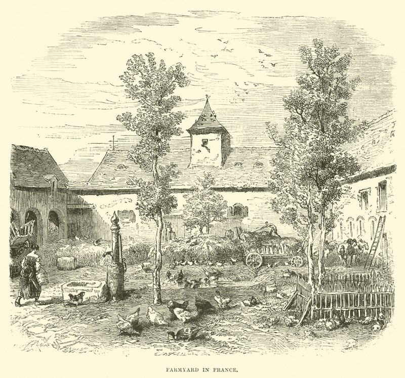 Boerenerf in Frankrijk door English School