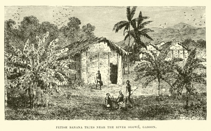 Fetisj bananenbomen nabij de rivier Ogowe, Gabon door English School
