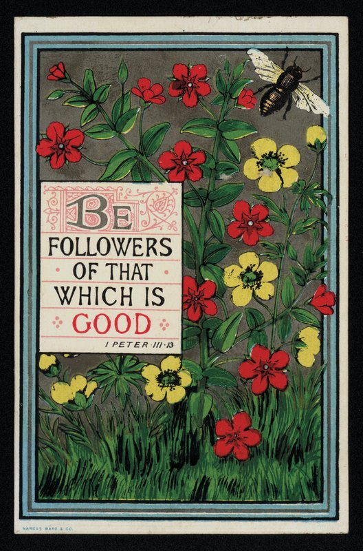 Bloemen met een Bijbelvers uit 1 Petrus 3:13, wenskaart door English School