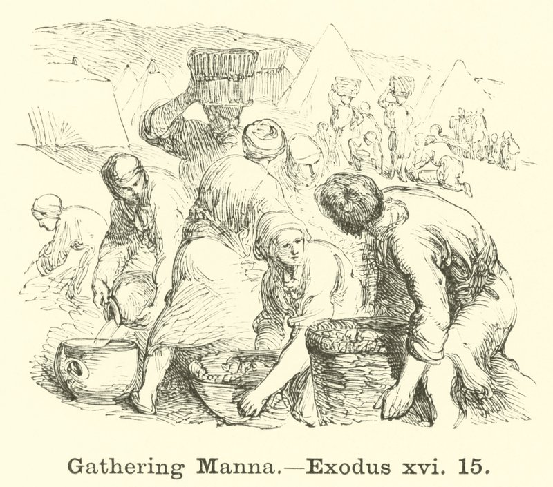 Het verzamelen van manna, Exodus, xvi, 15 door English School