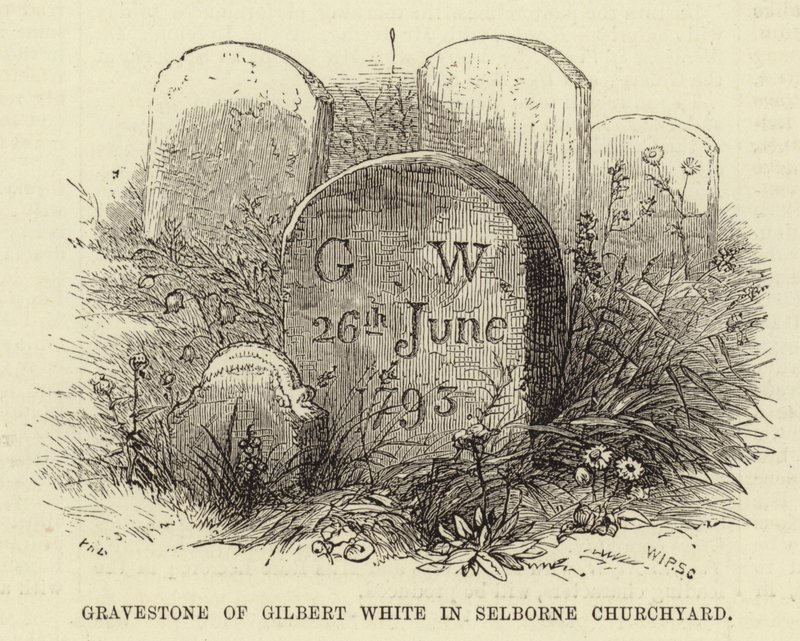 Grafsteen van Gilbert White in Selborne Kerkhof door English School