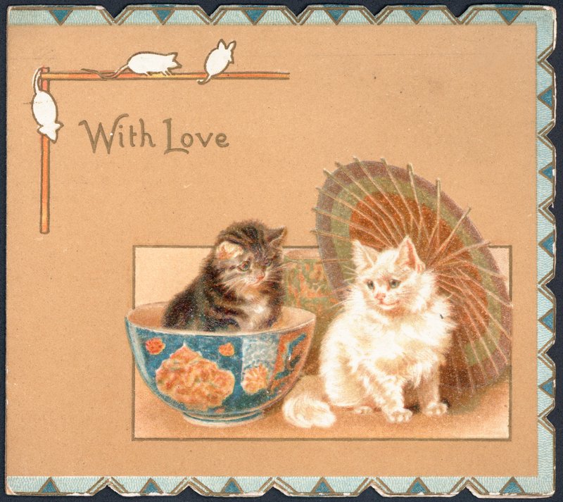 Wenskaart met twee katten door English School