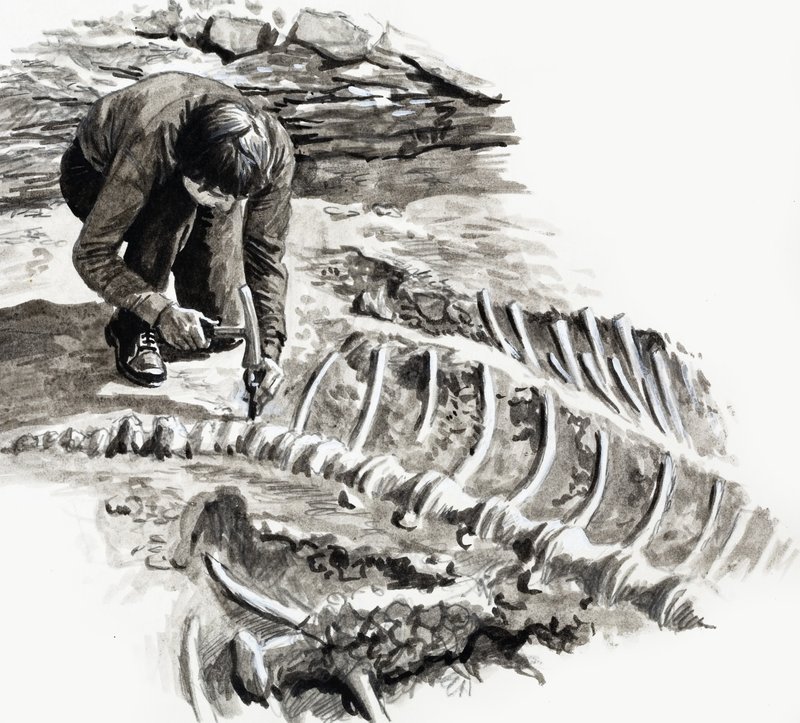 In de dagen van de dinosauriërs: Strijd der giganten door English School