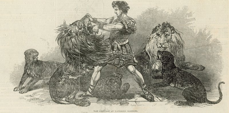 Isaac van Amburgh in Vauxhall Gardens door English School