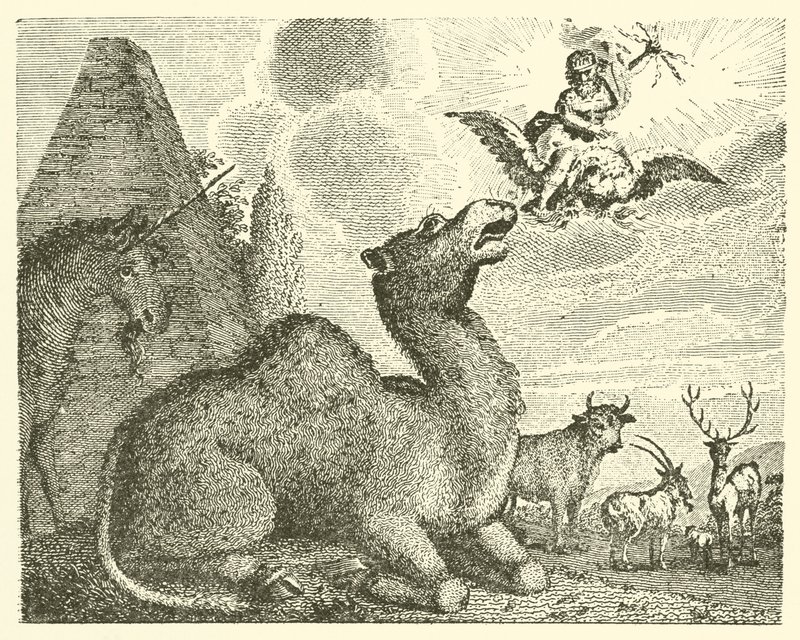 Jupiter en de kameel (gravure) door English School