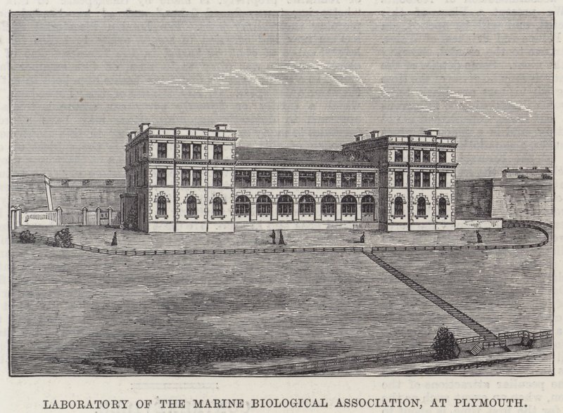 Laboratorium van de Marine Biological Association, in Plymouth door English School