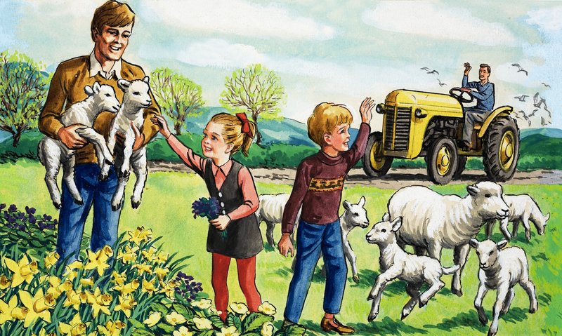 Lammetjes in de lente door English School