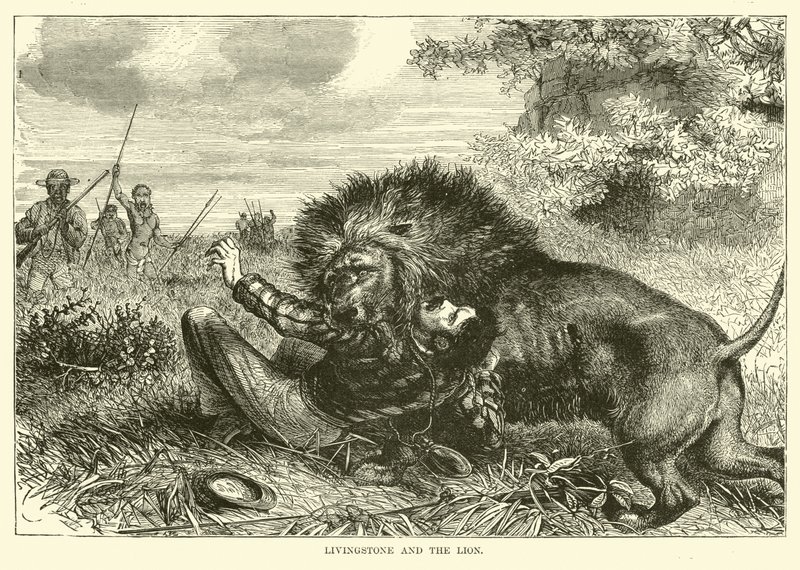 Livingstone en de leeuw door English School