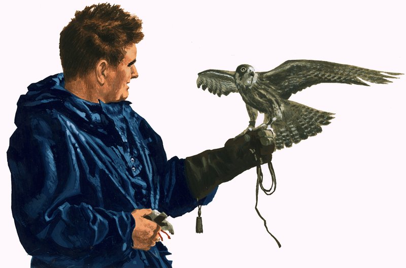 Man met een roofvogel door English School