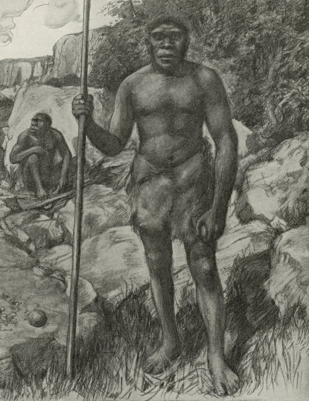 Man wiens schedel werd ontdekt in Rhodesië in 1921 door English School