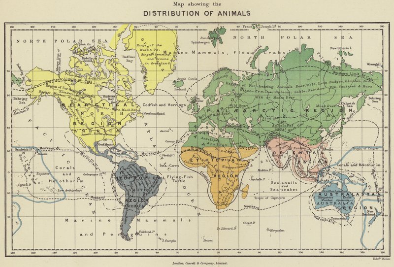 Kaart met de verspreiding van dieren door English School