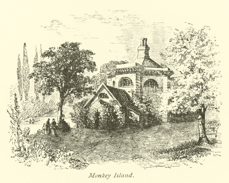 Apen Eiland door English School