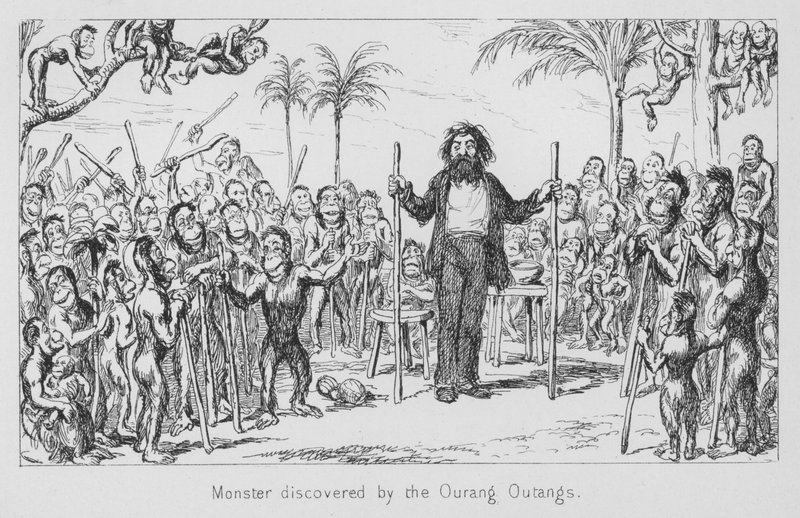 Monster ontdekt door de orang-oetans door English School