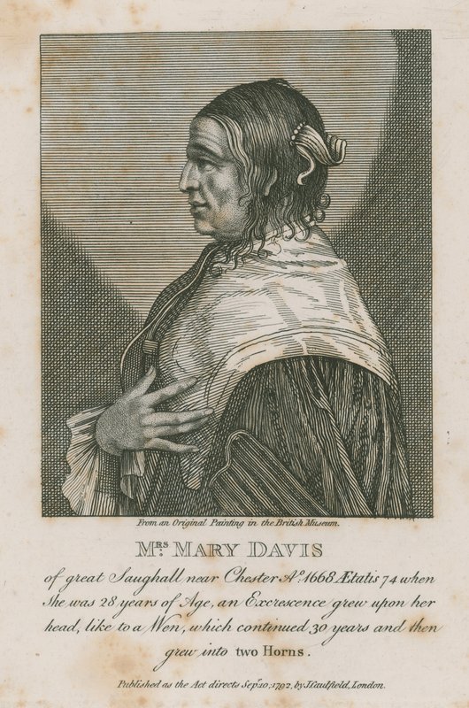 Mevrouw Mary Davis van Great Saughall bij Chester, 1668 door English School
